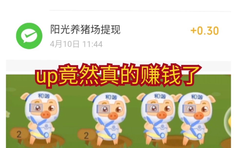 阳光猪场赚钱版下载苹果版阳光养猪场app一天能赚多少-第1张图片-太平洋在线下载