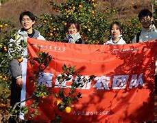 i川农苹果版i川农官网登录-第1张图片-太平洋在线下载