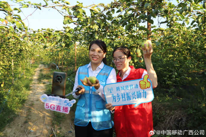 广西扶贫苹果版2024广西扶贫app电脑版-第2张图片-太平洋在线下载